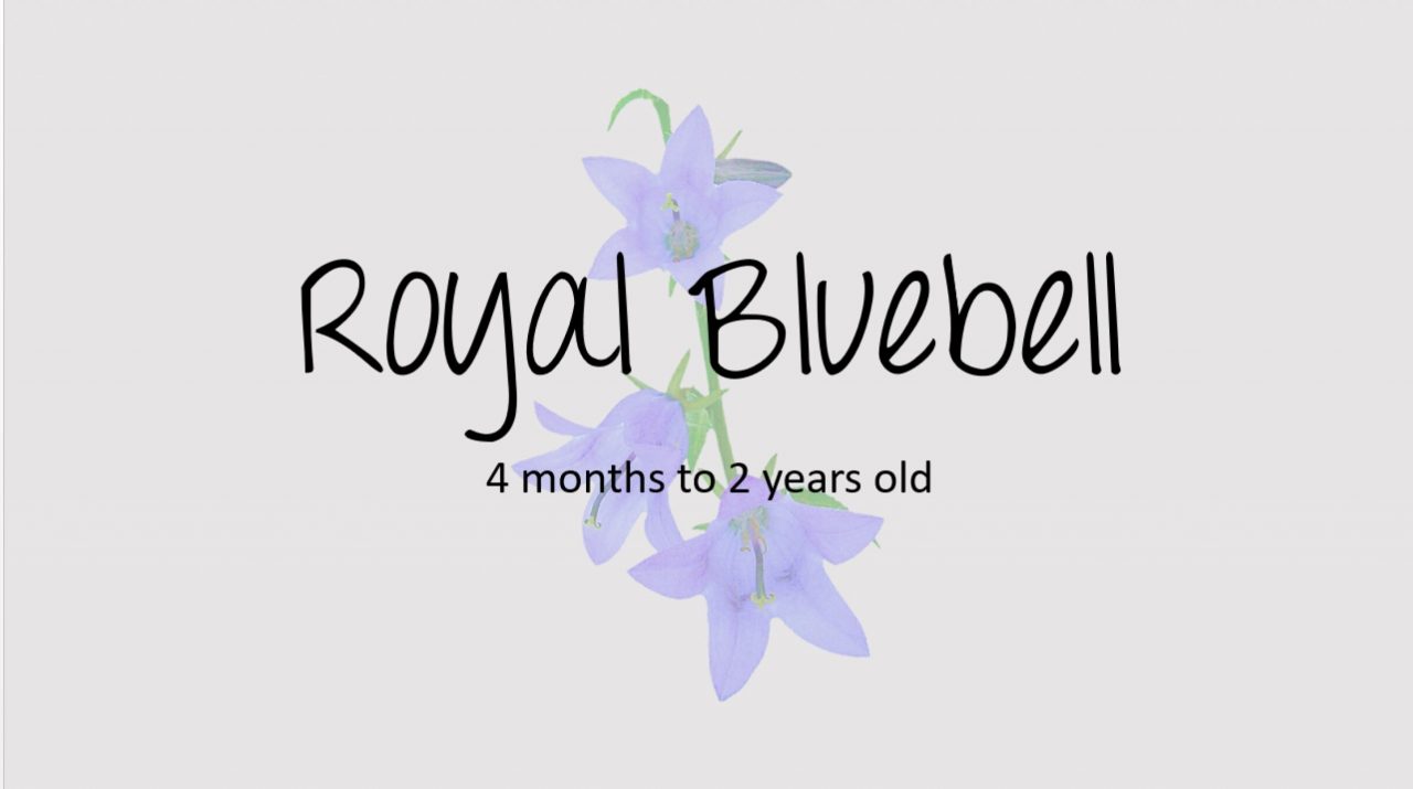 Bluebell Title